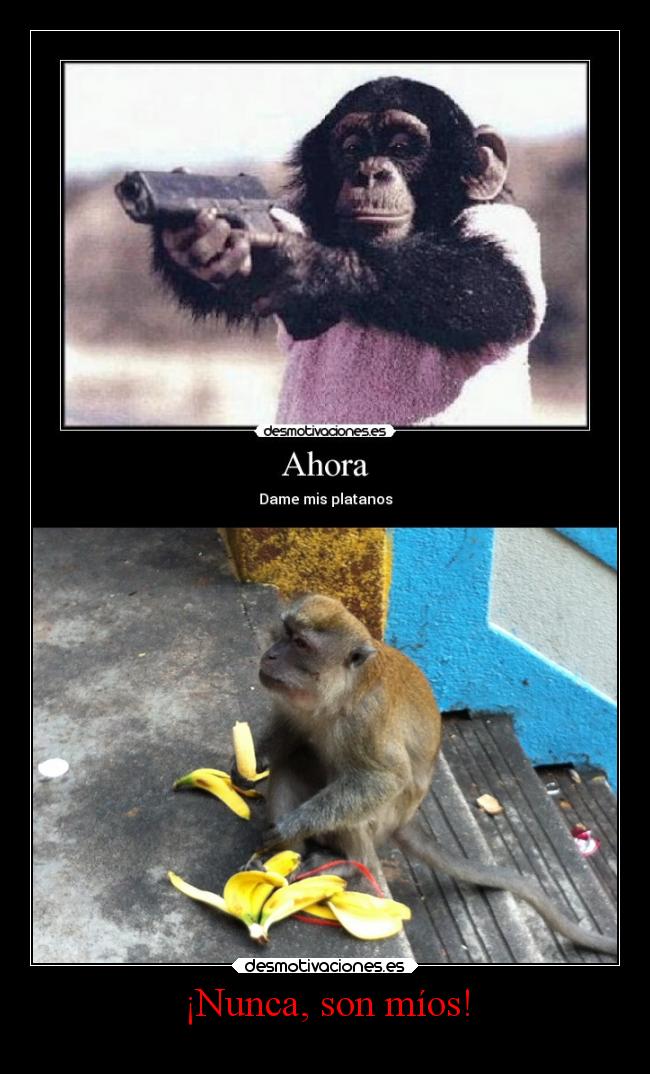 ¡Nunca, son míos! -