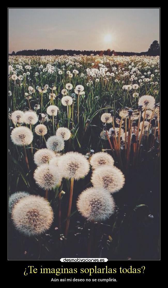 ¿Te imaginas soplarlas todas? - Aún así mi deseo no se cumpliría.