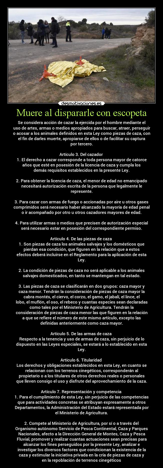 Muere al dispararle con escopeta - Se considera acción de cazar la ejercida por el hombre mediante el
uso de artes, armas o medios apropiados para buscar, atraer, perseguir
o acosar a los animales definidos en esta Ley como piezas de caza, con
el fin de darles muerte, apropiarse de ellos o de facilitar su captura
por tercero.
Artículo 3. Del cazador
1. El derecho a cazar corresponde a toda persona mayor de catorce
años que esté en posesión de la licencia de caza y cumpla los
demás requisitos establecidos en la presente Ley.
2. Para obtener la licencia de caza, el menor de edad no emancipado
necesitará autorización escrita de la persona que legalmente le
represente.
3. Para cazar con armas de fuego o accionadas por aire u otros gases
comprimidos será necesario haber alcanzado la mayoría de edad penal
o ir acompañado por otro u otros cazadores mayores de edad.
4. Para utilizar armas o medios que precisen de autorización especial
será necesario estar en posesión del correspondiente permiso.
Artículo 4. De las piezas de caza
1. Son piezas de caza los animales salvajes y los domésticos que
pierdan esa condición, que figuren en la relación que a estos
efectos deberá incluirse en el Reglamento para la aplicación de esta
Ley.
2. La condición de piezas de caza no será aplicable a los animales
salvajes domesticados, en tanto se mantengan en tal estado.
3. Las piezas de caza se clasificarán en dos grupos: caza mayor y
caza menor. Tendrán la consideración de piezas de caza mayor la
cabra montés, el ciervo, el corzo, el gamo, el jabalí, el lince, el
lobo, el muflón, el oso, el rebeco y cuantas especies sean declaradas
como tales por el Ministerio de Agricultura. Tendrán la
consideración de piezas de caza menor las que figuren en la relación
a que se refiere el número de este mismo artículo, excepto las
definidas anteriormente como caza mayor.
Artículo 5. De las armas de caza
Respecto a la tenencia y uso de armas de caza, sin perjuicio de lo
dispuesto en las Leyes especiales, se estará a lo establecido en esta
Ley.
Artículo 6. Titularidad
Los derechos y obligaciones establecidos en esta Ley, en cuanto se
relacionan con los terrenos cinegéticos, corresponderán al
propietario o a los titulares de otros derechos reales o personales
que lleven consigo el uso y disfrute del aprovechamiento de la caza.
Artículo 7. Representación y competencia
1. Para el cumplimiento de esta Ley, sin perjuicio de las competencias
que para actividades concretas se atribuyan expresamente a otros
Departamentos, la Administración del Estado estará representada por
el Ministerio de Agricultura.
2. Compete al Ministerio de Agricultura, por sí o a través del
Organismo autónomo Servicio de Pesca Continental, Caza y Parques
Nacionales, afecto a la Dirección General de Montes, Caza y Pesca
Fluvial, promover y realizar cuantas actuaciones sean precisas para
alcanzar los fines perseguidos por la presente Ley, analizar e
investigar los diversos factores que condicionan la existencia de la
caza y estimular la iniciativa privada en la cría de piezas de caza y
en la repoblación de terrenos cinegéticos