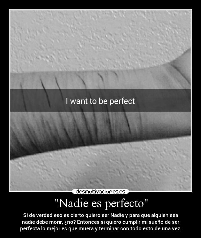 carteles muerte perfeccion desmotivaciones