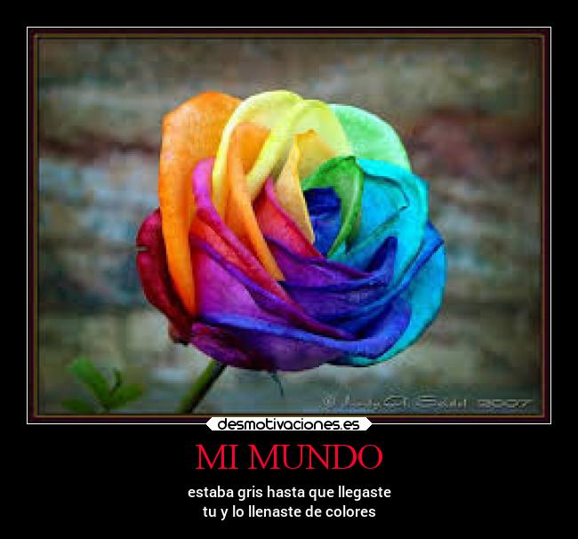 carteles mundo mundo marionobros locosdeamor desmounidos losanonimos colores desmotivaciones