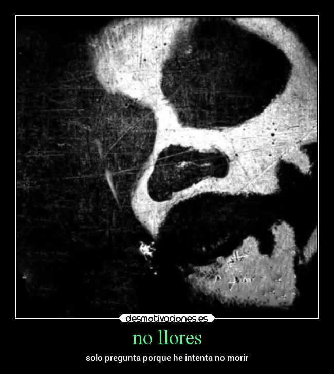 no llores - solo pregunta porque he intenta no morir