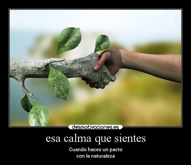 esa calma que sientes - Cuando haces un pacto
con la naturaleza