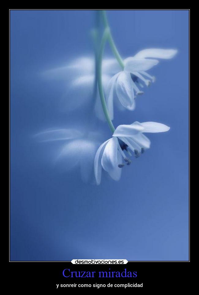 Cruzar miradas - y sonreír como signo de complicidad