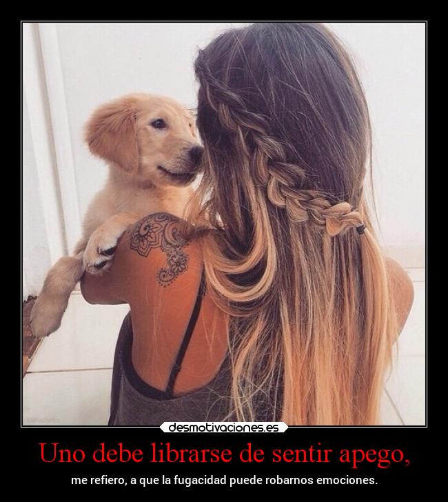 carteles tristeza dobydemicorazon desmotivaciones