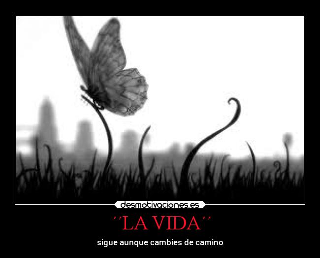 carteles vida vida amor locosdeamor losanonimos desmounido camino mariodayans desmotivaciones