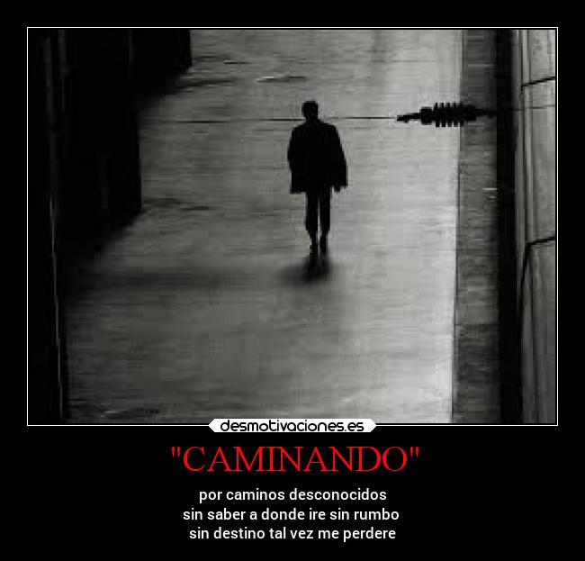 carteles vida amor losanonimos locosdeamor desmotivaciones