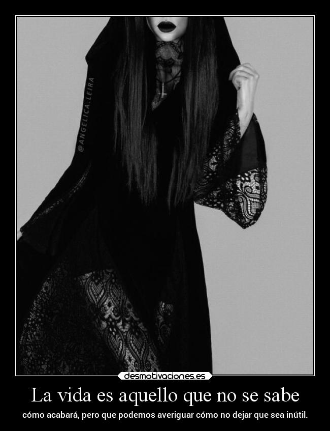 carteles vida desmotivaciones vida clandesplazado soyunidiotatm manada32 projectd desmotivaciones