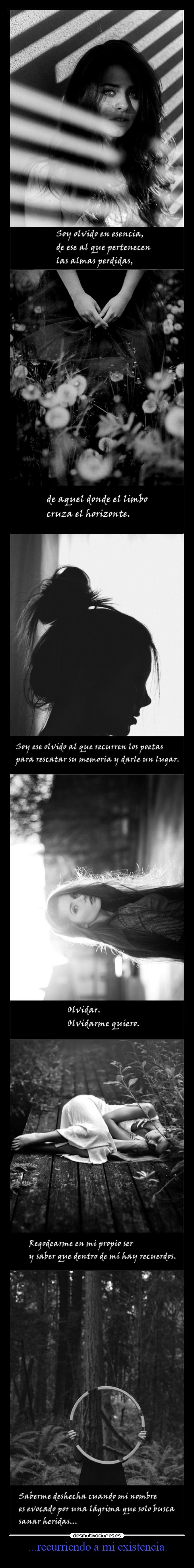 carteles vida dolor resubidoporerrata olvido mels desmotivaciones