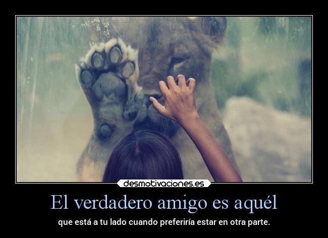 carteles vida frases amigos tigres ser fuerte grandes alex vazquez999 buen camino buencamino desmotivaciones