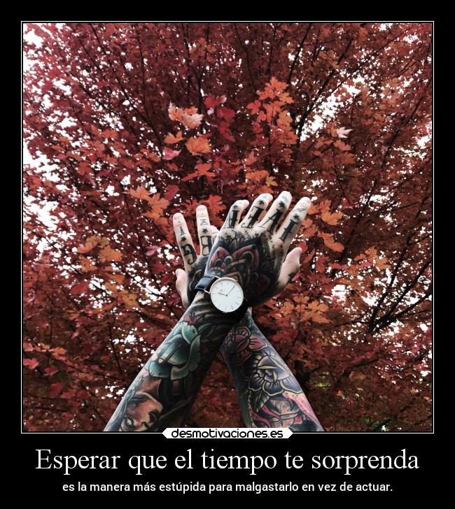Esperar que el tiempo te sorprenda - 