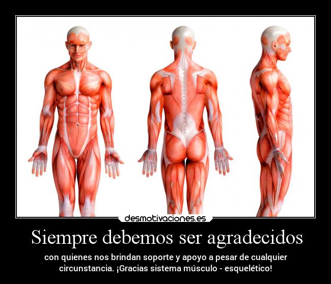 Siempre debemos ser agradecidos - con quienes nos brindan soporte y apoyo a pesar de cualquier
circunstancia. ¡Gracias sistema músculo - esquelético!