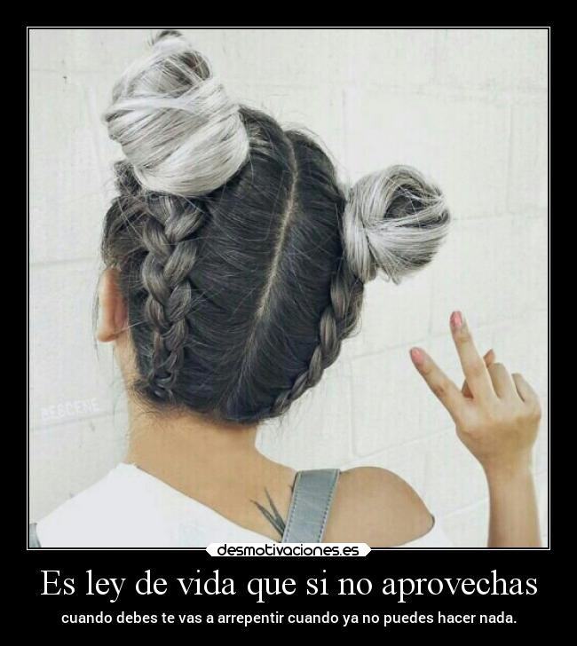 Es ley de vida que si no aprovechas -