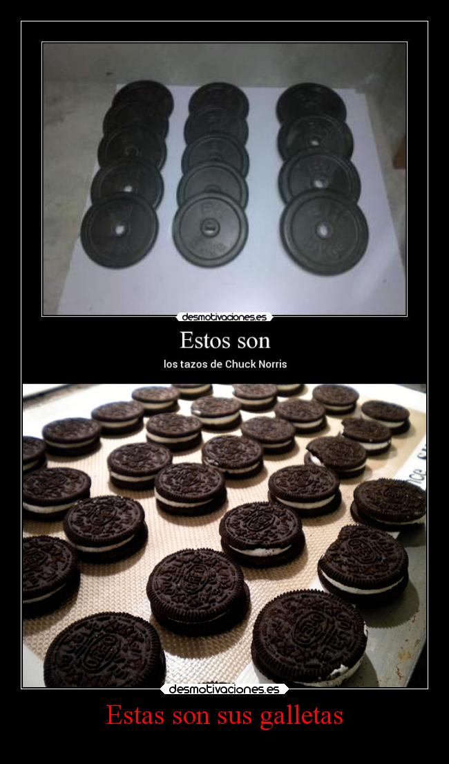 Estas son sus galletas - 