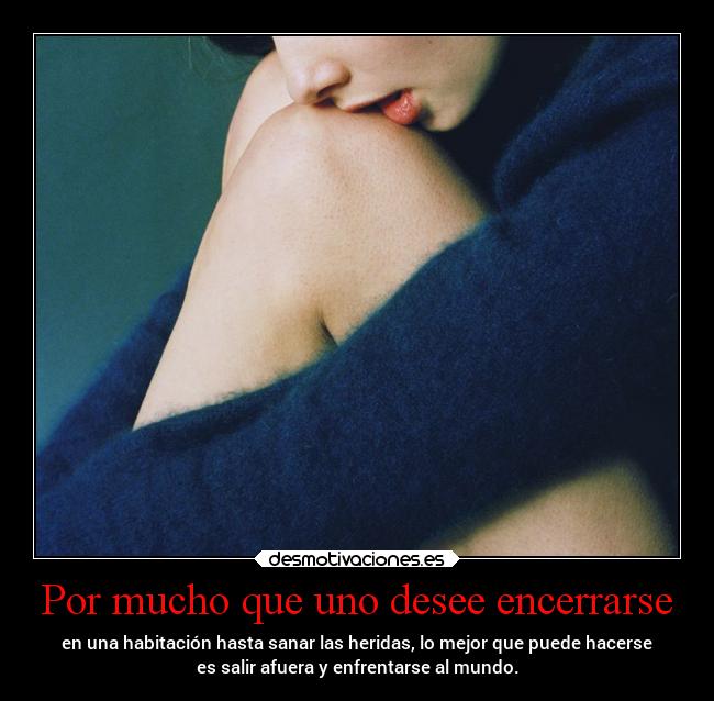 carteles vida superclan soyunidiotatm lossupervivientes desmotivaciones