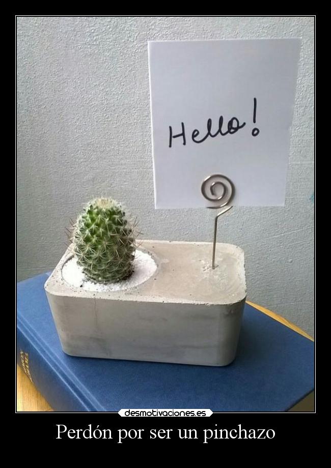 Perdón por ser un pinchazo - 