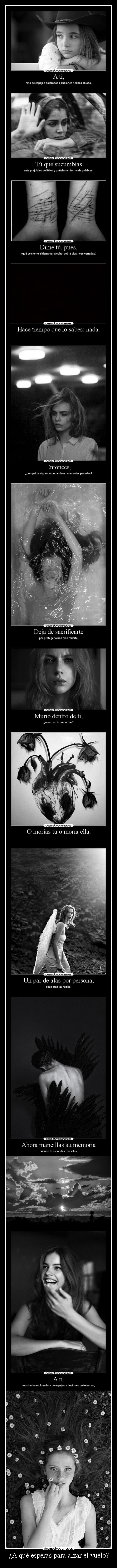 ¿A qué esperas para alzar el vuelo? -