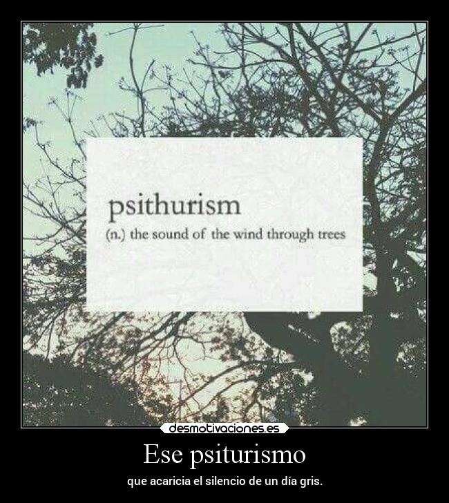 Ese psiturismo - que acaricia el silencio de un día gris.
