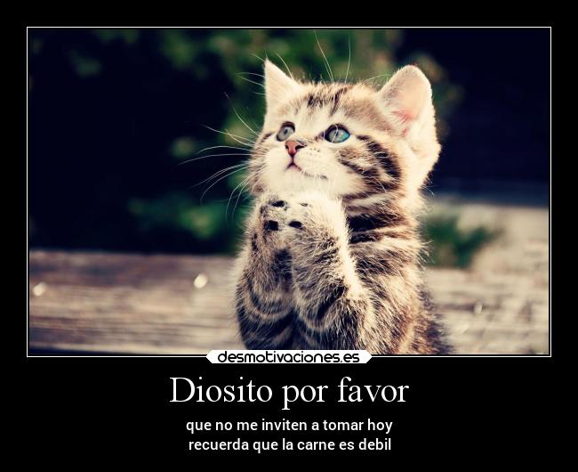 Diosito por favor - que no me inviten a tomar hoy
recuerda que la carne es debil