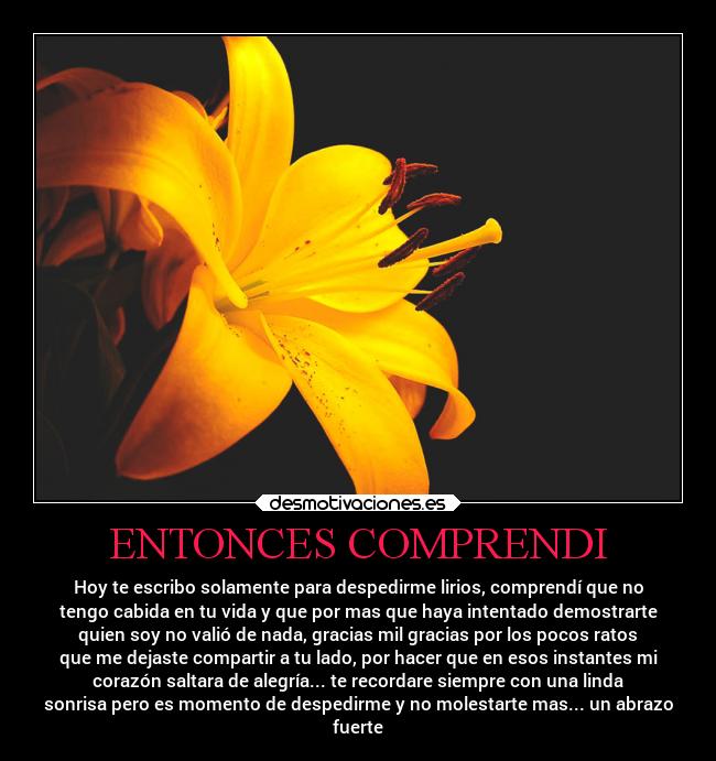 carteles amor amigos desmotivaciones