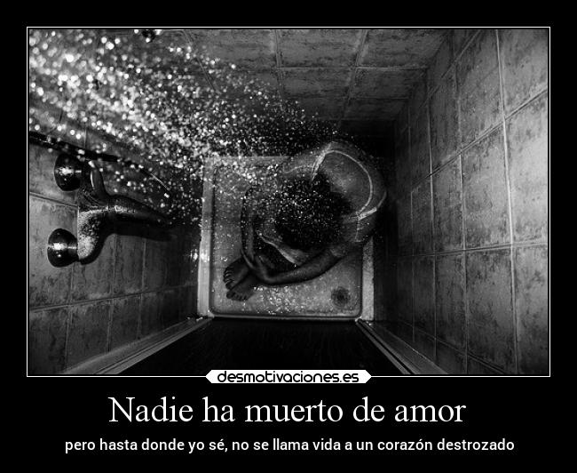 Nadie ha muerto de amor -