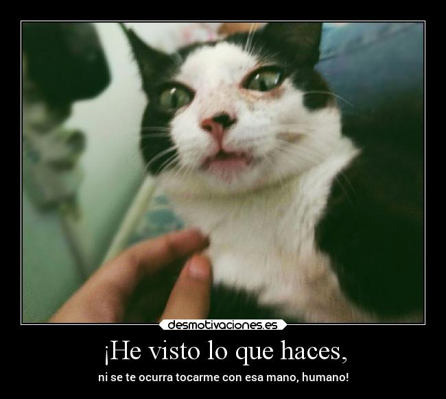 ¡He visto lo que haces, - ni se te ocurra tocarme con esa mano, humano!