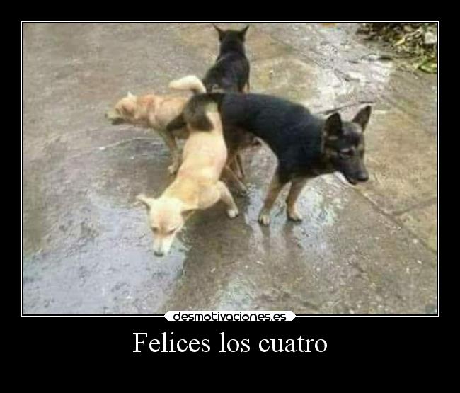 Felices los cuatro -