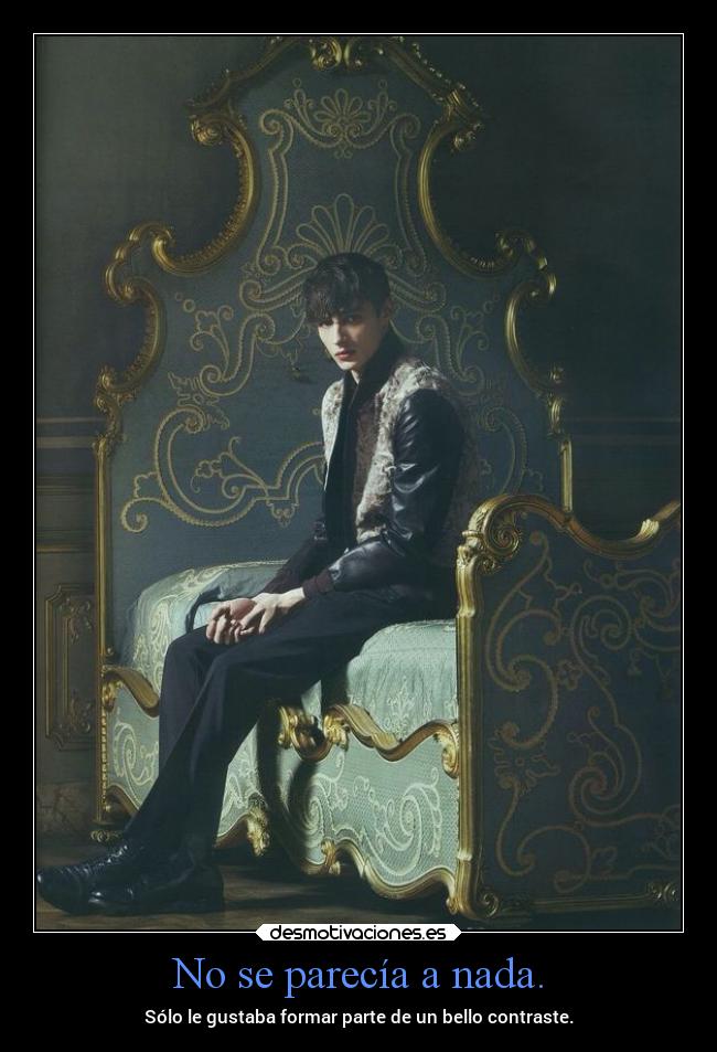 No se parecía a nada. - Sólo le gustaba formar parte de un bello contraste.