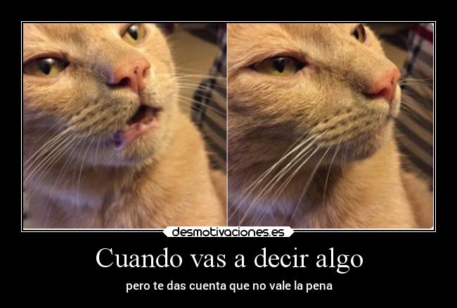 Cuando vas a decir algo -