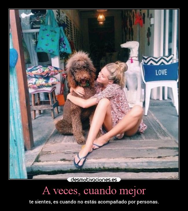 carteles desmotivaciones vida sentimientos desmotivaciones