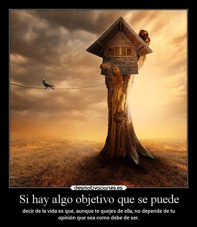 Si hay algo objetivo que se puede - decir de la vida es que, aunque te quejes de ella, no depende de tu
opinión que sea como debe de ser.