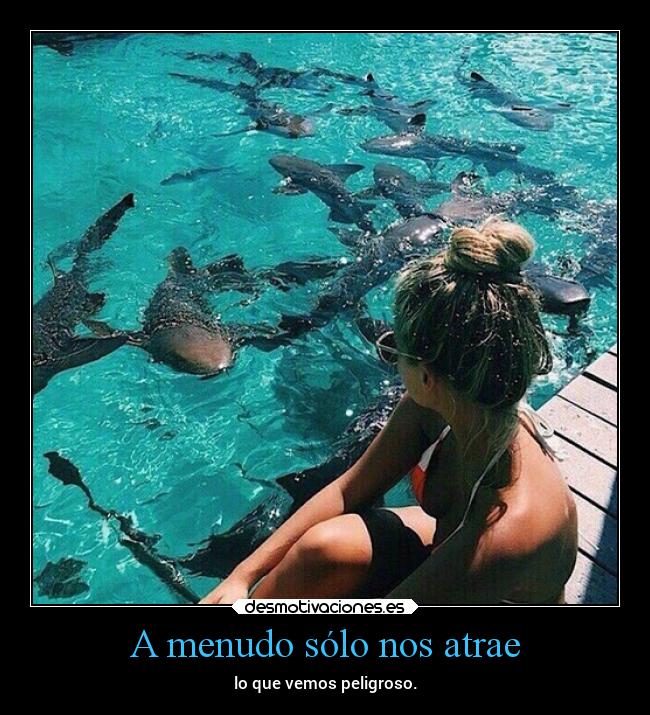 carteles desmotivaciones vida sentimientos desmotivaciones