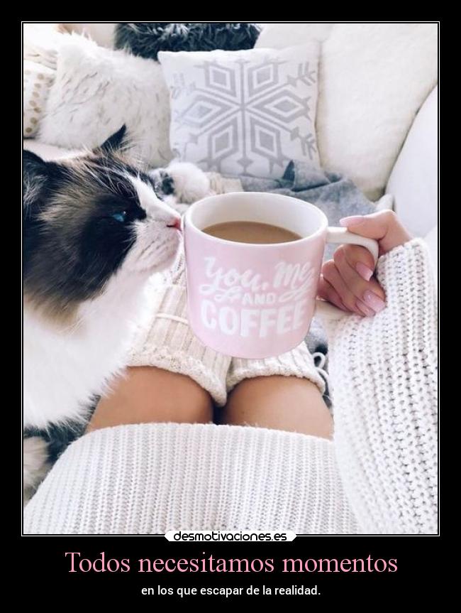 Todos necesitamos momentos - en los que escapar de la realidad.