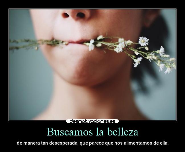 Buscamos la belleza -