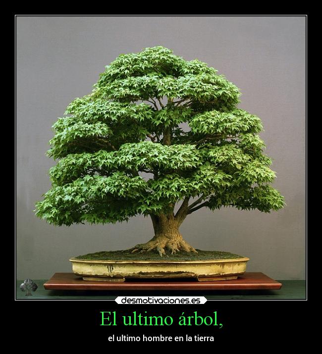El ultimo árbol, - 