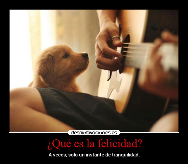 carteles felicidad confianza felicidad bbjdfs desdeunrincondeestemundoquesecaeapedazos desmotivaciones