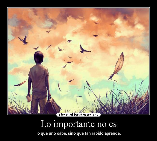 Lo importante no es -
