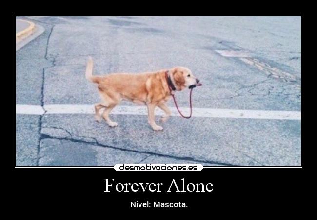 Forever Alone - Nivel: Mascota.