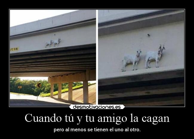 carteles humor desmotivaciones