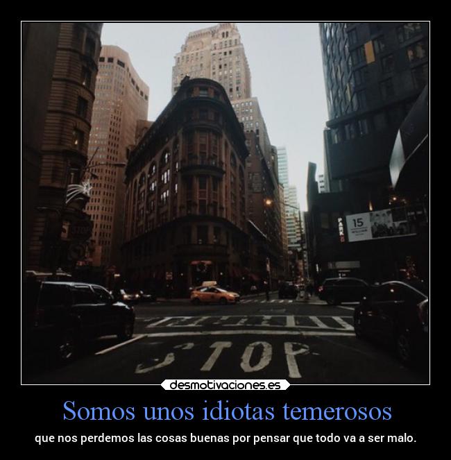 Somos unos idiotas temerosos - que nos perdemos las cosas buenas por pensar que todo va a ser malo.