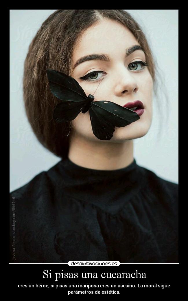carteles mundo vida sociedad pensamientos personas estetica mariposas cucarachas desmotivaciones