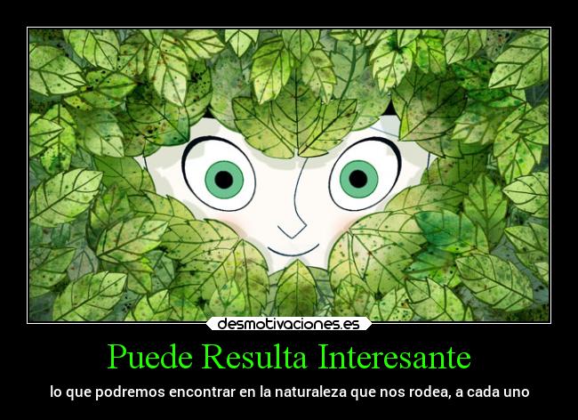Puede Resulta Interesante - lo que podremos encontrar en la naturaleza que nos rodea, a cada uno