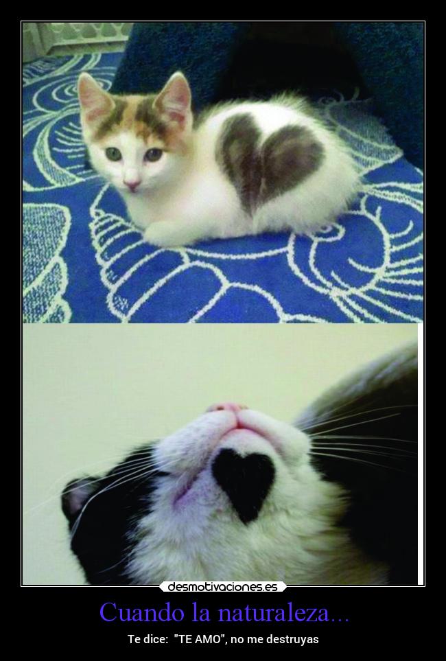 Cuando la naturaleza... - Te dice: TE AMO, no me destruyas