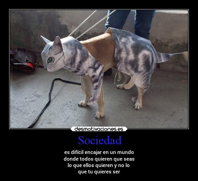 Sociedad -