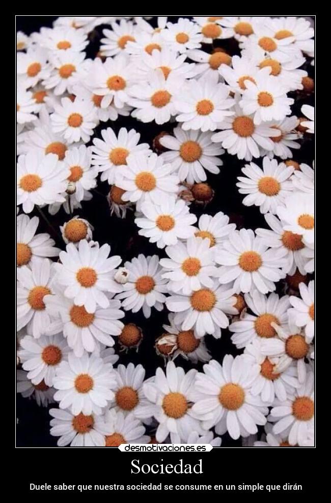 Sociedad - Duele saber que nuestra sociedad se consume en un simple que dirán
