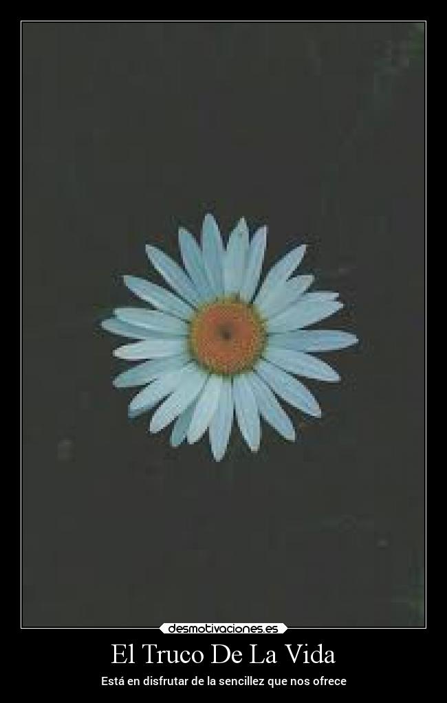 El Truco De La Vida - Está en disfrutar de la sencillez que nos ofrece