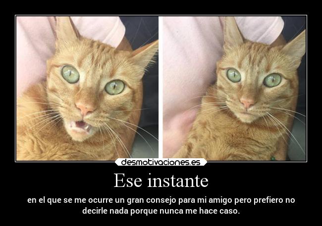 Ese instante - 