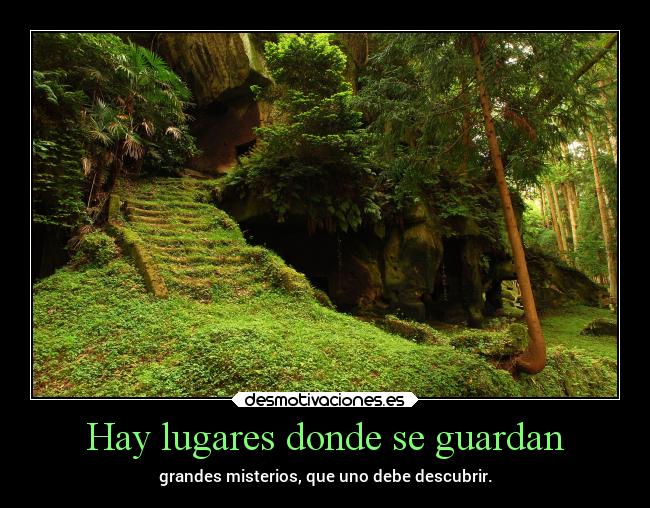 carteles vida naturaleza chopper igbt lossupervivientes algo escondido bosque desmotivaciones