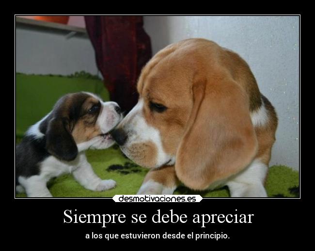 carteles vida primeros aprecio doni desmotivaciones