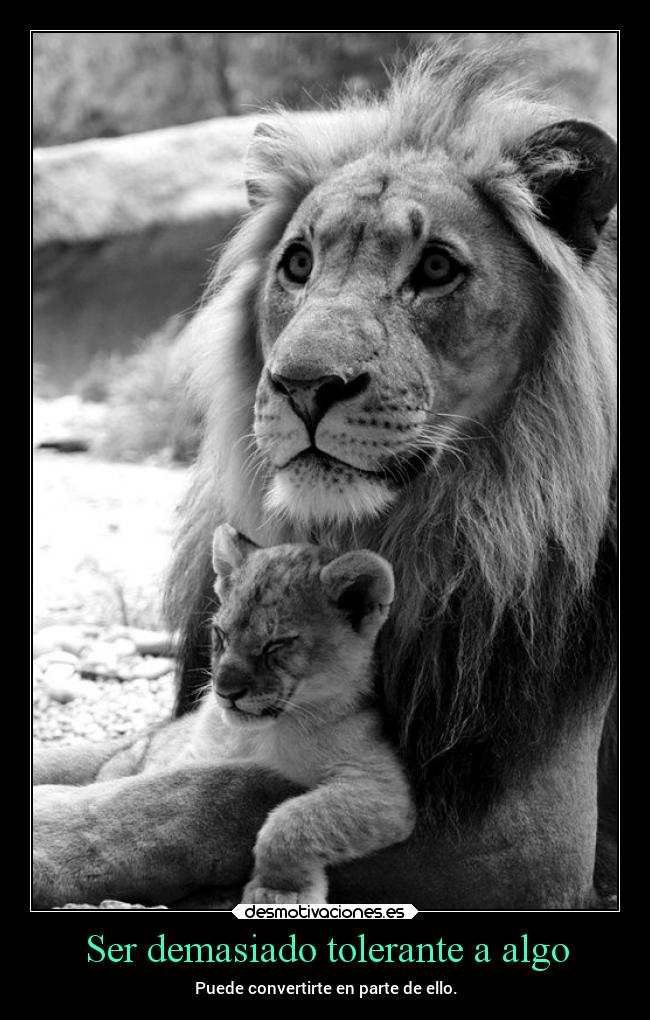 carteles abrazos partedemiputoproblema pokemonrojofuego desmotivaciones